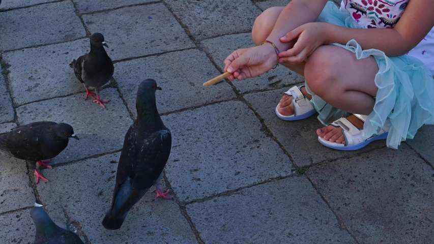 Little girl 7 years old feeds pigeons with hands on a city street. A child of European appearance, plays with birds.