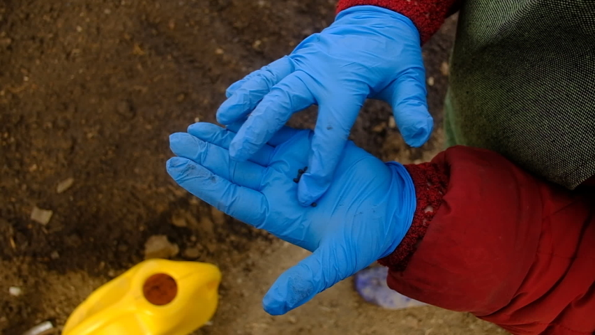Farmer in gloves holds seeds in hands | Shutterstock HD Video #1055831348