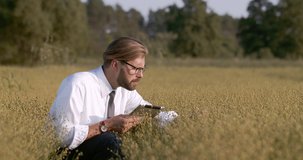 Mature businessman in eyeglasses and formal outfit using digital tablet while examining green plants in field. Bearded farmer inspecting harvest outdoors.