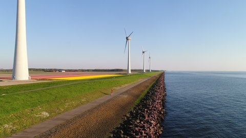 WS AERIAL POV TS Girl cycling on road along wind farm / Urk, Flevoland, Netherlands