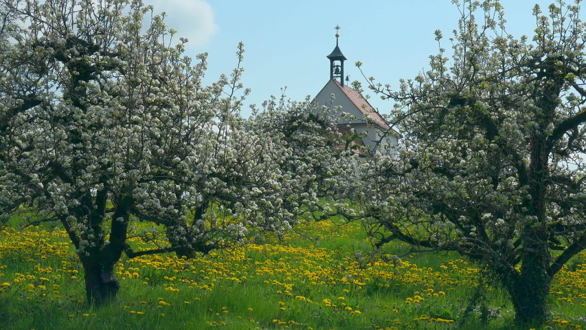 Chapel among trees in orchard