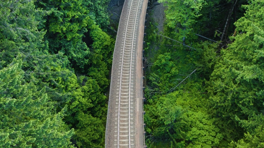 Empty Railroad Tracks in Middle of Lush Green Forest with No Train, Gradual Pan Up Aerial Drone Shot