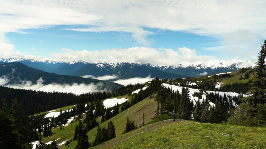 Unrecognizable Photographer Takes Photos of Scenic Mountain Range in Olympic National Park, Washington State in Summer