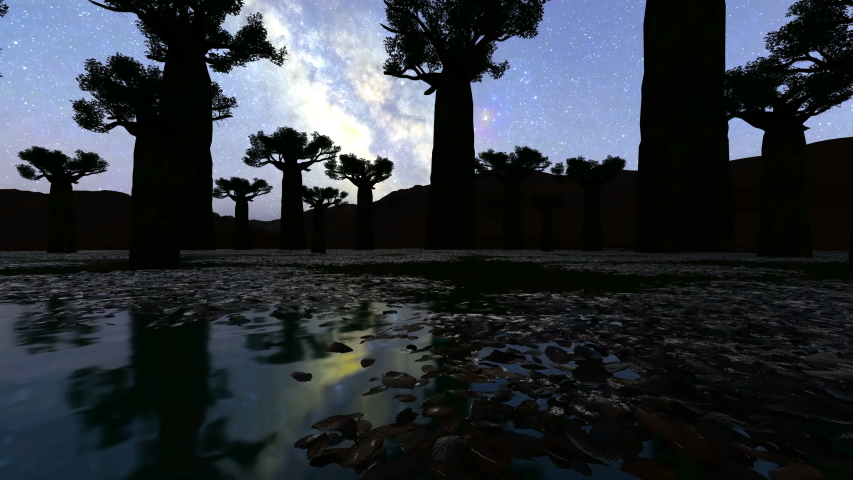 Milky Way at Avenue of the Baobabs