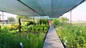 Female gardener checks quality of plants, takes notes with pen in notebook,in garden center or greenhouse. growing and caring for plants. floristry, gardening , horticulture, flower business. - Powered by Shutterstock - Get 15% off with code: PIKWIZARD15