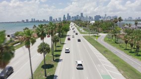 4k drone flying between green trees above cars driving by the road in Miami downtown direction on sunny day. Aerial cityscape view. Beautiful background for transportation business, Miami Florida USA