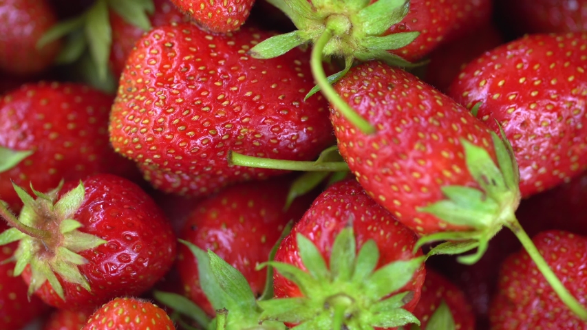 Juicy Ripe Strawberries, Summer Berries. The Concept Of Healthy Vegan Food. | Shutterstock HD Video #1055906447