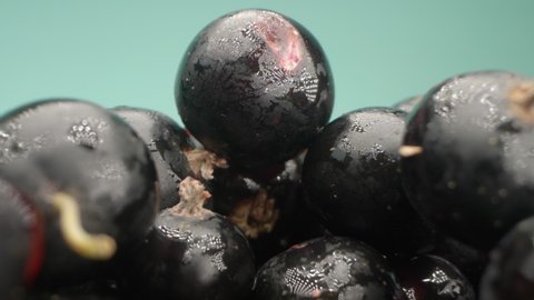 super close up. details of blackcurrant berries in a basket on a table.