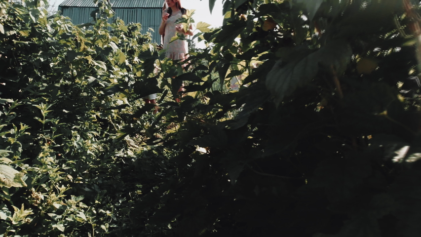 Girl runs among the currant bushes