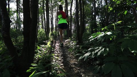 Young woman trail runner running in sunrise tropical forest, lens flare slow motion