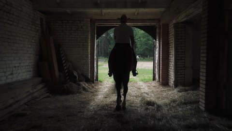 Cowboy in a hat rides a horse, takes a horse out of the stable for a walk, contour light, back view. – Video có sẵn