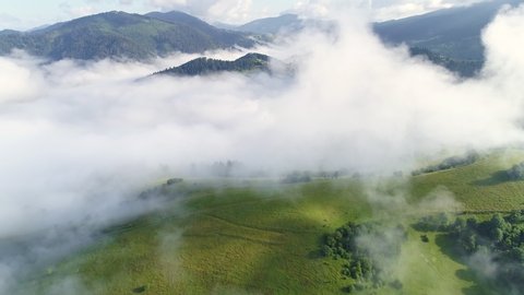 Flying through the clouds over foggy green hills. Magnificent mountains covered by forest in the early morning. Eco tourism and rural recreation. Aerial shot, 4K