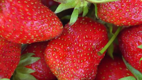Juicy Ripe Strawberries, Summer Berries. The Concept Of Healthy Vegan Food.