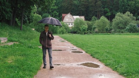 A man walks under a black umbrella on a rainy summer day along an alley in the Park.