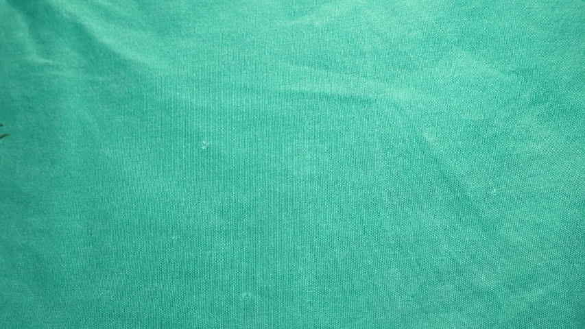 centipede
close up of centipede on a green background.
closeup of centipede  
super macro centipede.
insect, insects, bug, bugs, animal, animals, wildlife, woods, forest, wild nature, park, garden