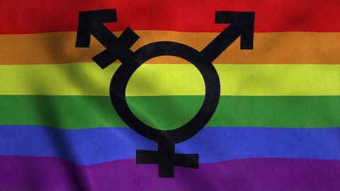 Transgender bisexual gay pride flag waving in the wind. 4K