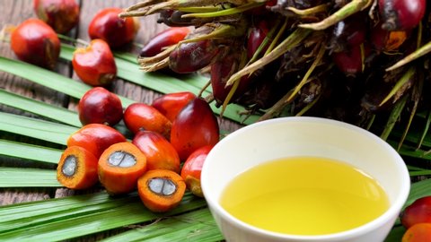 Fresh oil palm fruits and cooking palm oil on a palm leaves in wooden background