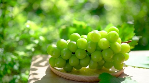 Green grape in wooden plate on Bamboo table in garden, Shine Muscat Grape with leaves in blur background, 