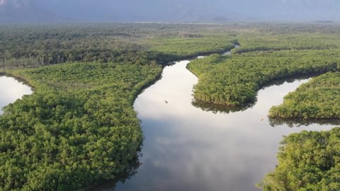 
Amazon rainforest. Aerial view of the river. Environmental Reserve.