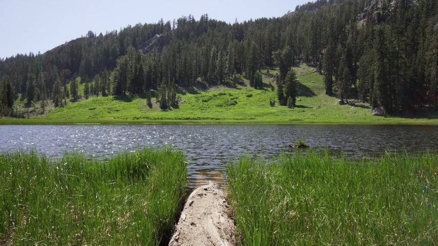 beautiful pond view with lush green backset and blue skies during outdoor serenity, hiking in northern California. Shot on tripod.