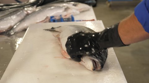 Cleaning salmon fish in an industrial restaurant kitchen