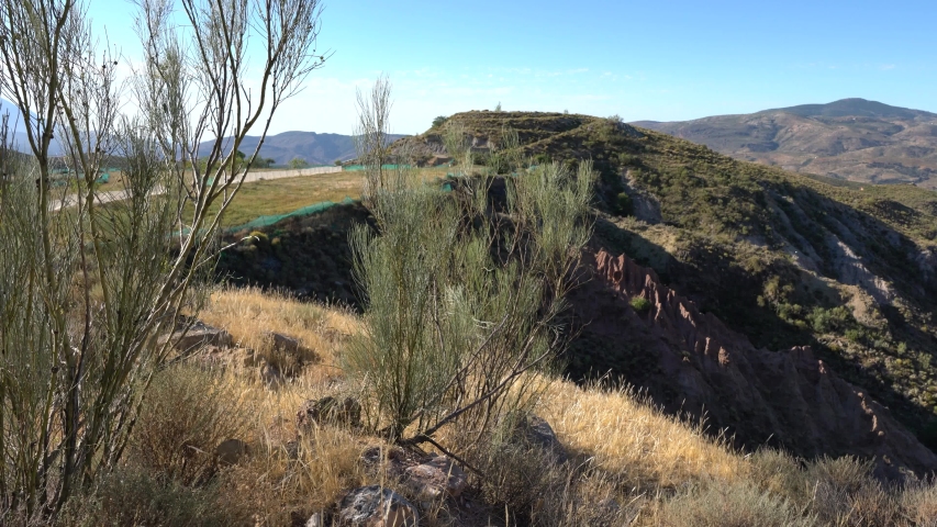 bushes moved by the air between mountains, the sky is blue and the grass is dry