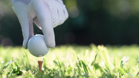 Hand putting golf ball on green grass.