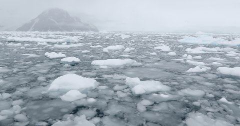 MS Brash ice floating in Neko Harbor / Antarctic Peninsula, Antarctica