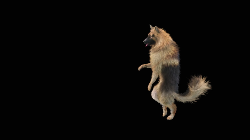 Dogs Dance, realistic CGI VFX, 3d rendering, Animation Loop,  composition 3d mapping cartoon, Included in the end of the clip With Alpha matte. | Shutterstock HD Video #1056000614