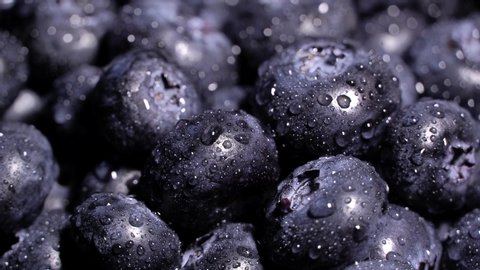 Fresh juicy blueberries rotation. Close up of blueberries. Loop motion