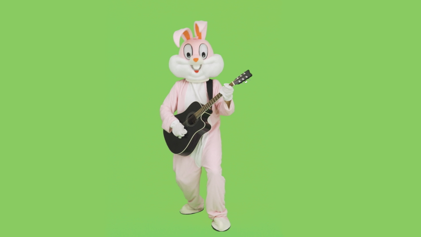 Man in adult giant bunny rabbit mascot costume life-size suit plays rock music on guitar on chroma key, green screen. Crazy guitar player is playing music, having fun Royalty-Free Stock Footage #1056017861
