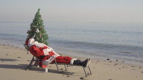 Santa Claus on beach is saying Merry Christmas congratulates, shaks hand, celebrate christmas with tree. Santa Claus in summer