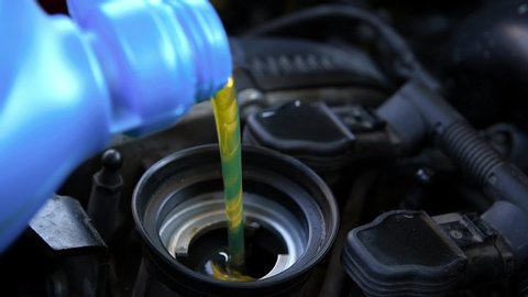 Pouring machine oil into the engine. Car service