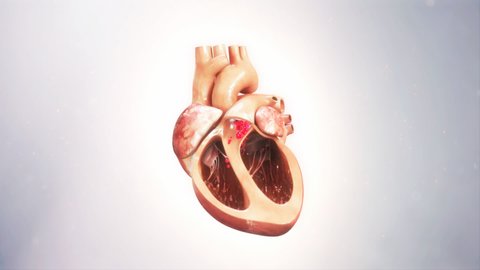 Original animation, heart beat with blood.
