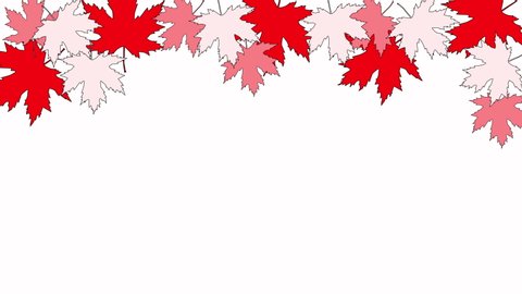 Animated drawn background, frame with red, pink, yellow maple leaves. 