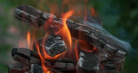 Сlose up bonfire flames of camping fire. Open fire in wild nature