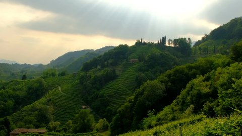 View from the Prosecco wine hill - Collagu - Conegliano Valdobbiadene