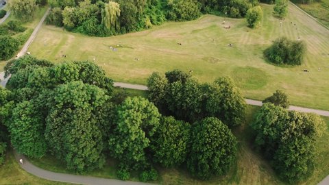 Green city park with trees and people lying on grass. Leasure time and sport activities. Aerial view