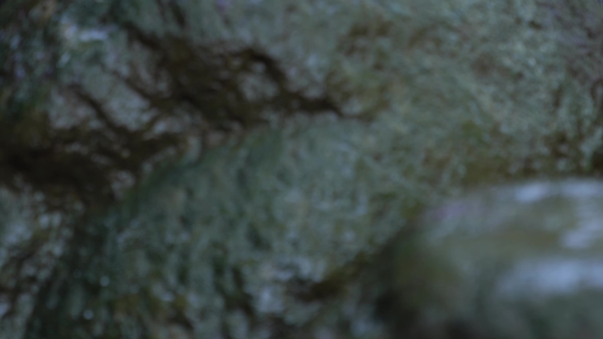 Close up vertical pan of white water flowing over the rocky surface of a man made waterfall cascade with wet slippery boulder rocks covered in dark green algae in the foreground.