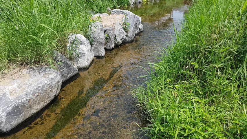 A river flowing in a hot summer in Sigmokcheon, Bucheon Gyeonggi-do Korea
