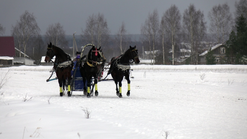Racing in winter at a trot on the racetrack on a cold winter day
