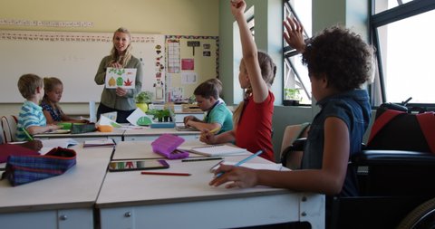 Multi-ethnic group of children and their Caucasian female teacher in a classroom during a lesson, raising their hands, one girl sitting in wheelchair, slow motion. Education at an elementary school.
