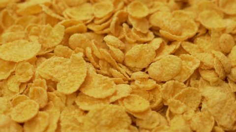 Close-up of Corn Flakes, Dry Healthy Breakfast. Rotation. CornFlakes Are Isolated.