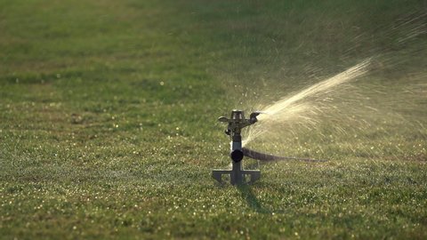 Summer sprinkler watering the green Bermuda grass.