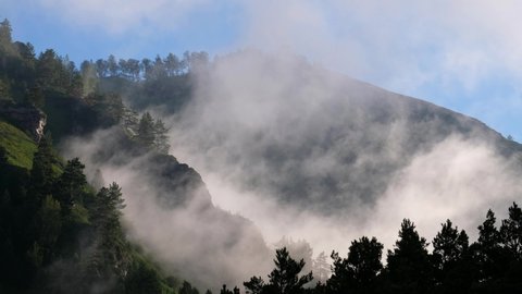 Video of fast moving fog wisps of fog in the mountains near the Altai village of Manzherok. Morning mist in pine mountain forest. Altai, Siberia, Russia