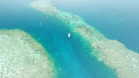 Manta ray drone view at Manta road in Pohnpei, Micronesia