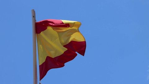 Anatomically Accurate Animation Turntable Human Pancreas Stock Footage ...