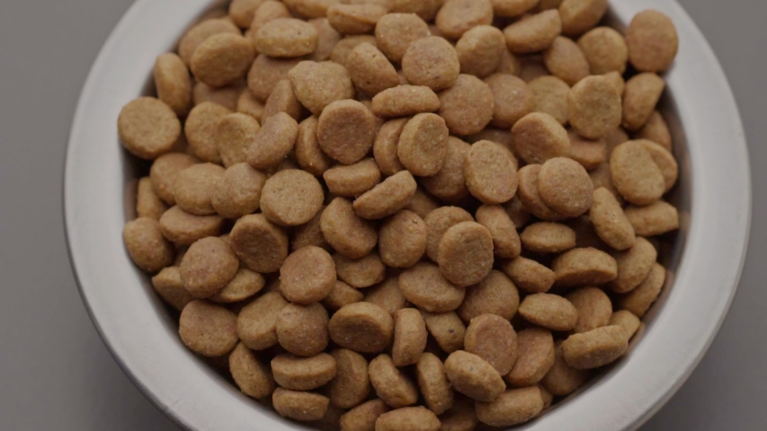 UHD macro of the healthy dry food for dog or cat in plate on rotating stand. Dry Pet Food Rotating. Nutrition for Cats and Dogs Royalty-Free Stock Footage #1056123818