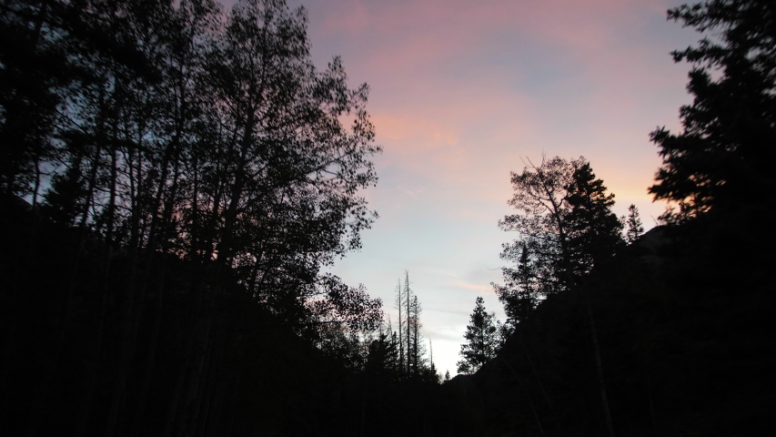 Colorful sunset gimbal shot while driving through the forest in the rocky mountains