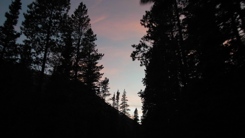 Colorful sunset gimbal shot while driving through the forest in the rocky mountains